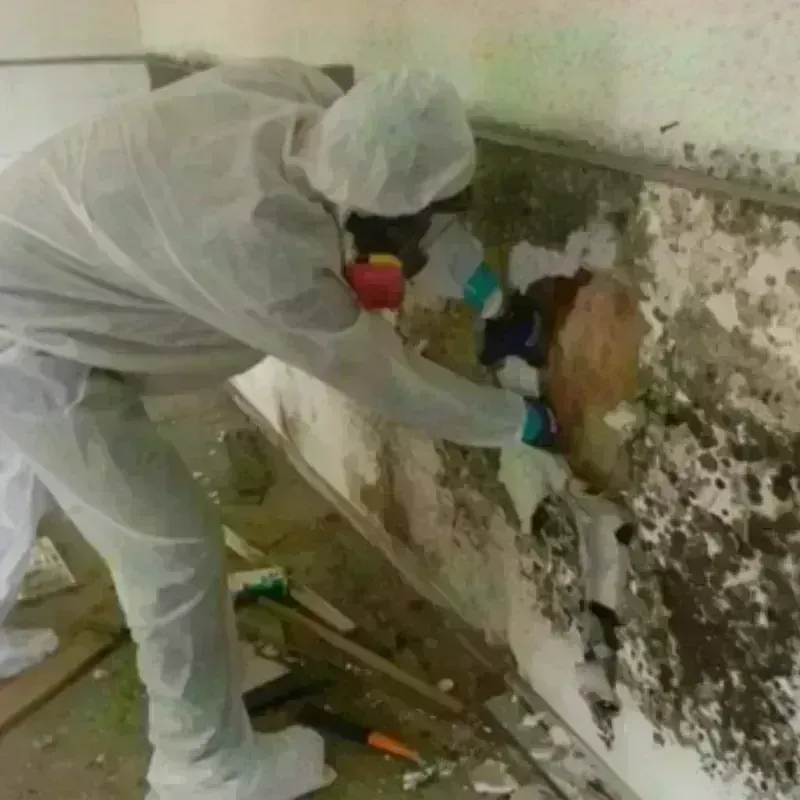 Mold Remediation and Removal in Cleveland County, OK