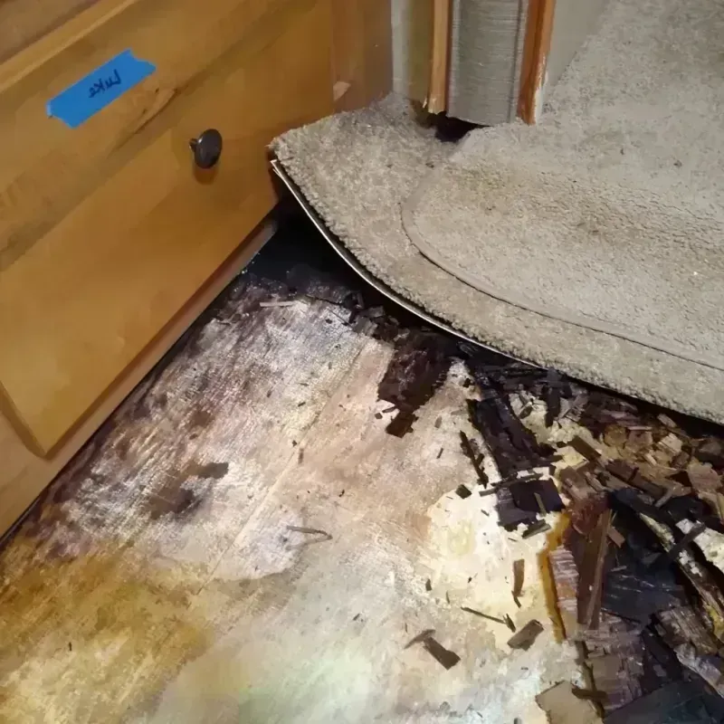 Wood Floor Water Damage in Cleveland County, OK